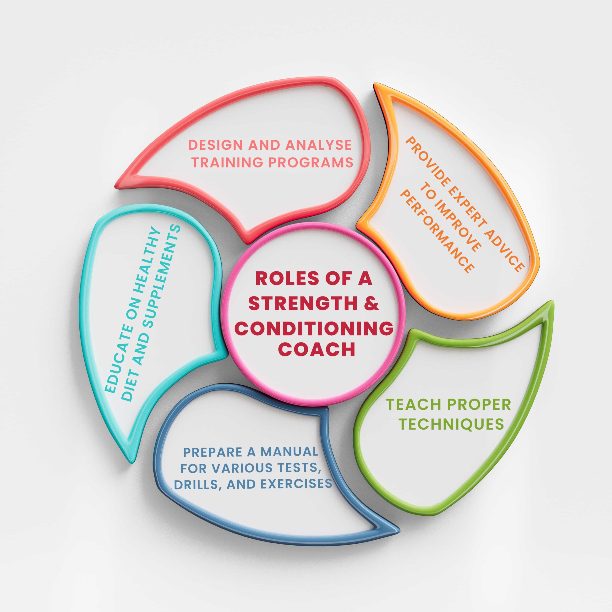 Roles Of Strength And Conditioning Coach Infographic Iism World 2693